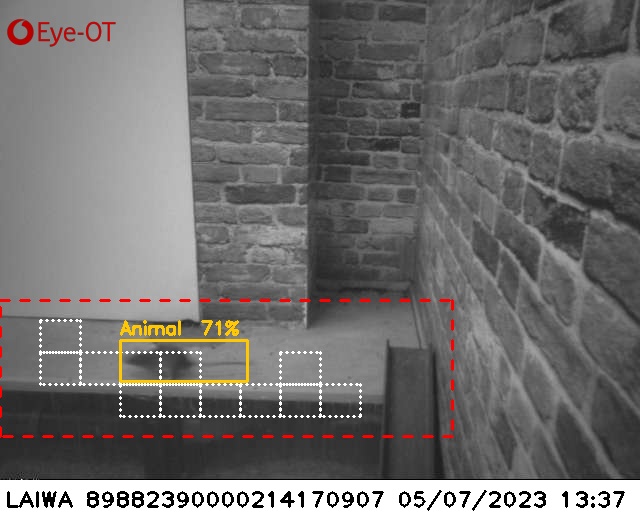 Laiwa Rodent Camera detecting Rat